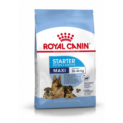 Сухой корм Royal Canin Maxi Starter для щенков крупных размеров до 2-х месяцев, беременных и кормящих сук
