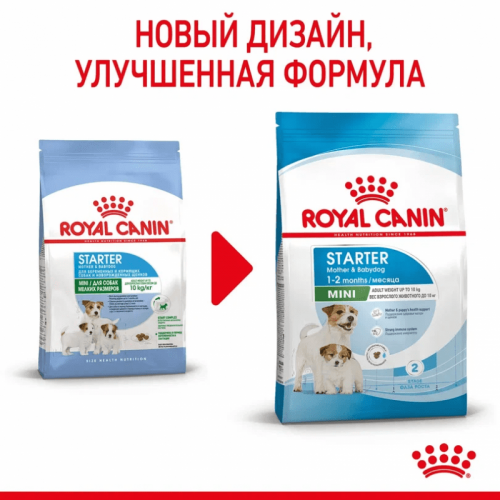 Сухой корм Royal Canin Mini Starter для щенков мелких размеров до 2-х месяцев, беременных и кормящих сук