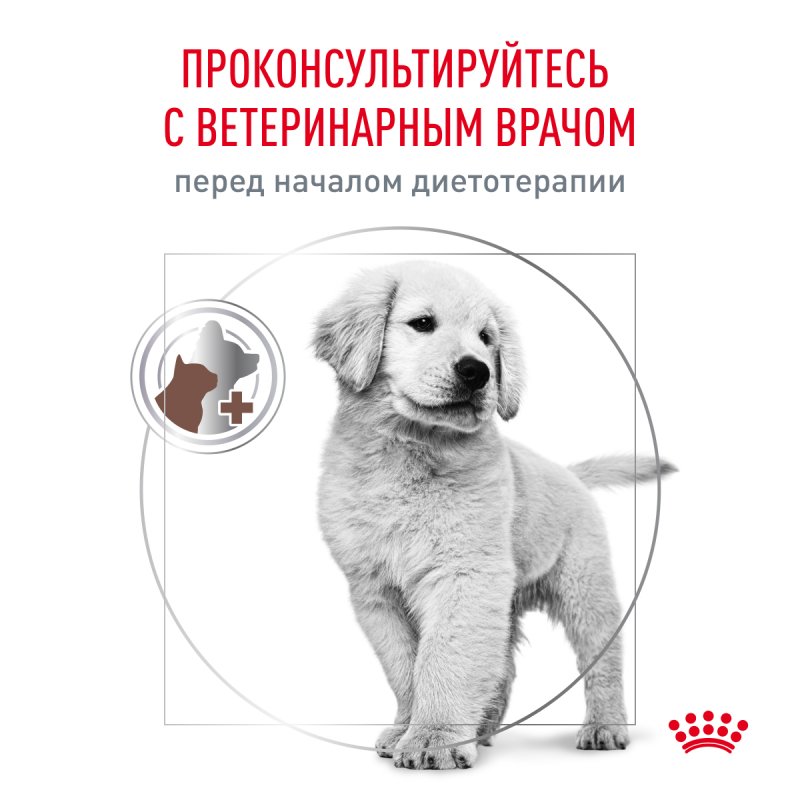Royal Canin GASTROINTESTINAL PUPPY (ГАСТРОИНТЕСТИНАЛ ПАППИ) Корм сухой полнорационный диетический для щенков, рекомендуемый при расстройствах пищеварения.