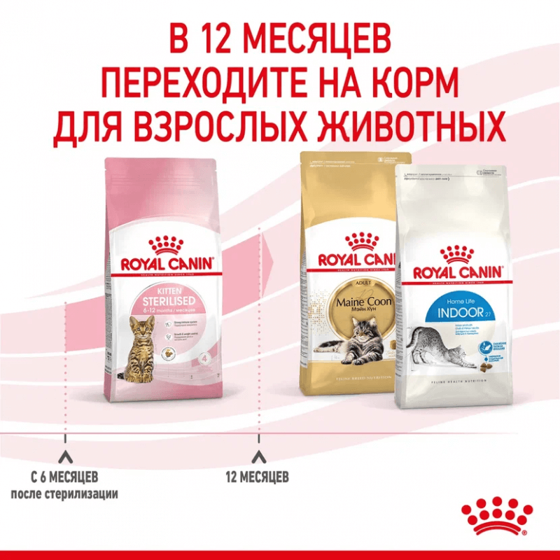 Royal Canin Kitten Sterilised сухой корм сбалансированный для стерилизованных котят до 12 месяцев