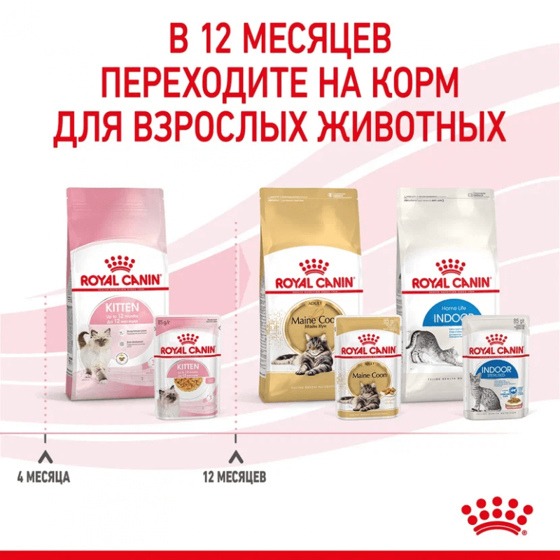 Royal Canin Kitten консервированный корм для котят в возрасте до 12 месяцев в желе (24шт)