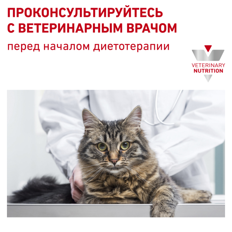 Royal Canin URINARY S/O LP 34 FELINE (лечебный корм для кошек при лечении и профилактике мочекаменной болезни)