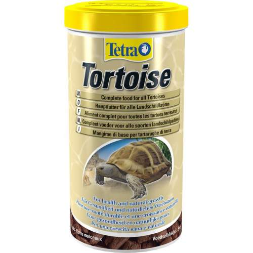 TetraFauna Tortoise