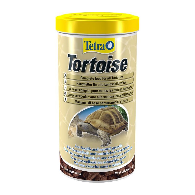 TetraFauna Tortoise
