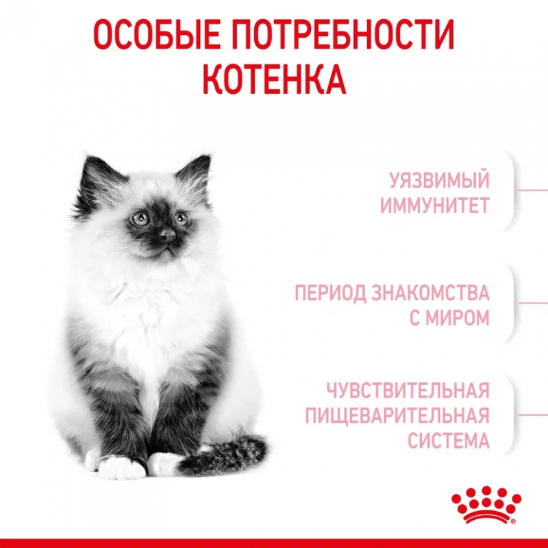 Royal Canin Kitten сухой корм сбалансированный для котят в период второй фазы роста до 12 месяцев