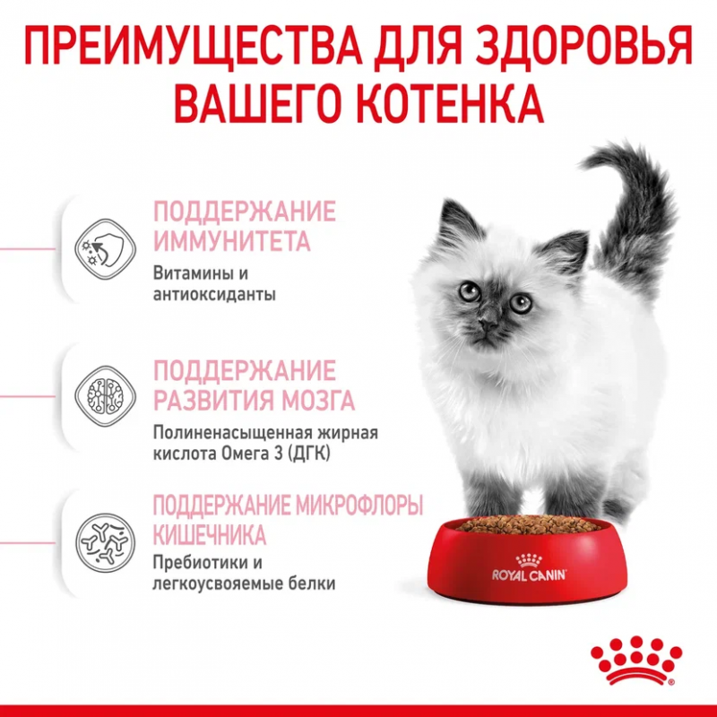 Royal Canin Kitten сухой корм сбалансированный для котят в период второй фазы роста до 12 месяцев
