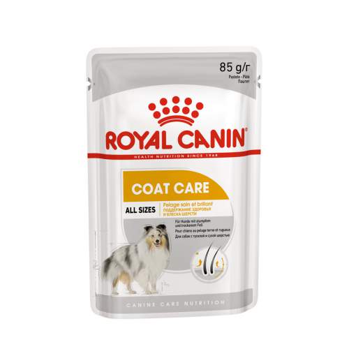 Royal Canin Coat Care Корм консервированный для взрослых собак от 10 месяцев, с тусклой и сухой шерстью (12шт)