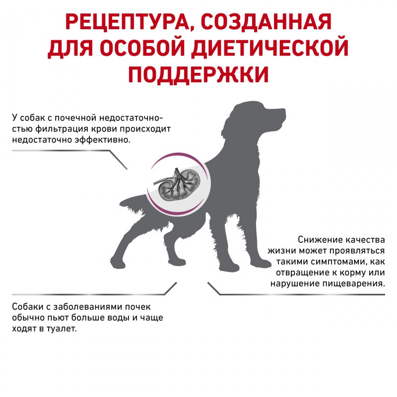 Royal Canin Renal Canine сухой корм диетический для взрослых собак для поддержания функции почек