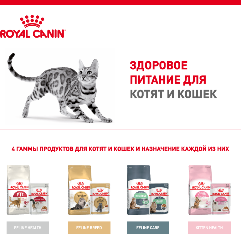 корма для котят и кошек от Royal Canin
